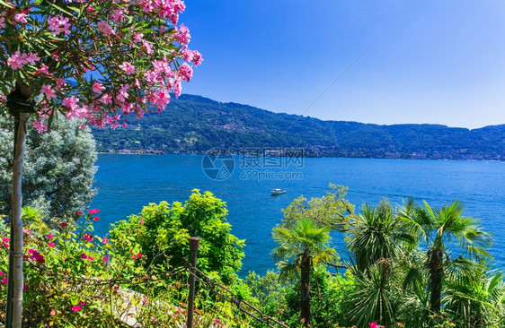 旅行山意大利北部LagoMaggiore湖的美丽花园和令人惊艳的自然美丽图片