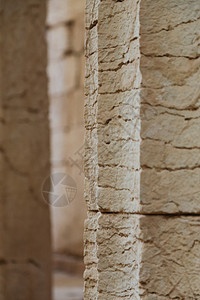 在希腊巴萨瓦西斯大树冠保护下恢复的古代阿波罗神庙节省支柱瓦萨图片
