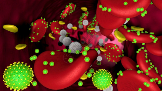 流行病感实际的绿色冠状攻击血液中红细胞的3D模型与静脉内的白细胞和血小板插图绿色冠状攻击血液中的红细胞与白和血小板的模型图片
