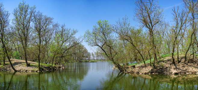 博物馆在乌克兰的AskaniaNova保留湖中在乌克兰AsseniaNova保留湖中的阳光明媚春日季湖中天树木学图片