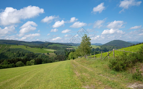 靠近温特堡的Sauerland地区的全景图象通过德国绿草地沿一条小路徒步旅行生物圈莱茵威斯特法伦爬坡道图片