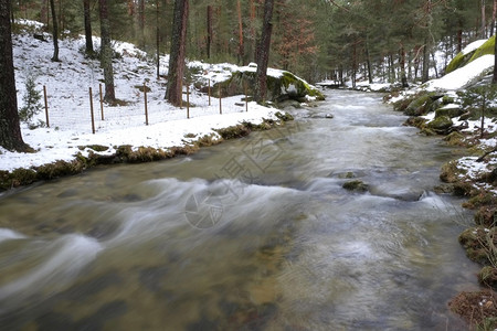水自然埃雷斯马河苏格兰松林瓜达拉马山脉公园塞哥维亚卡斯蒂利和莱昂西班牙欧洲生态系统图片