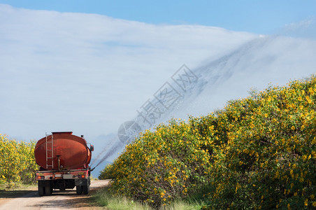 南邦湿的泰国兰Lampang省MaeMohCoalMining的墨西哥向日葵田上TungBuaTong浇灌淡水的卡车喷雾准备图片