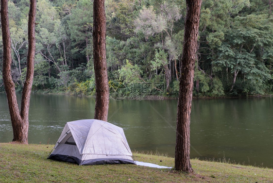公园湖边松树林旁的灰色露营帐篷图片