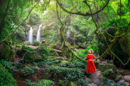 站立正面坐在泰国南省博克卢阿区KhunNan公园Sapan瀑布沙潘前的葡萄藤上穿着红裙子的漂亮女图片