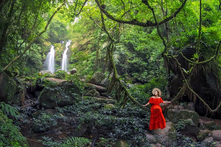 坐在泰国南省博克卢阿区KhunNan公园Sapan瀑布沙潘前的葡萄藤上穿着红裙子的漂亮女旅游年轻的雨林图片