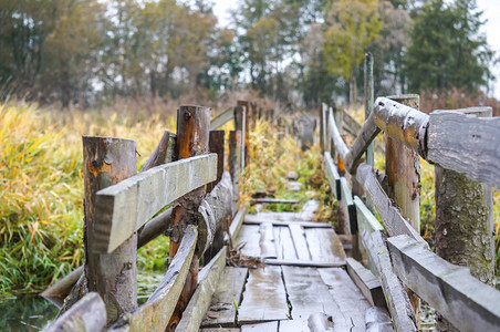 户外美丽的初秋时分穿过森林中一条废弃河流的破旧木桥穿过森林中一条废弃河流的破旧木桥叉图片