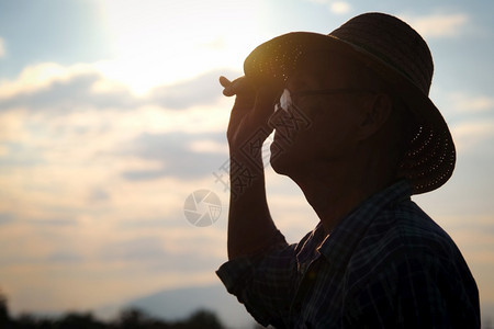 热带金的戴着帽子高级农民休丽花看着日落时的距离在金色天空背景上做一个心脏形状自然图片