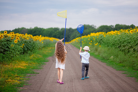 童年天空自然幼儿户外肖像在田野之间的公路上用蝴蝶网跑动的幼儿户外肖像沿路用蝴蝶网跑动的幼儿户外肖像图片