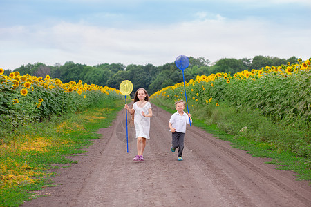 跑步幼儿户外肖像在田野之间的公路上用蝴蝶网跑动的幼儿户外肖像沿路用蝴蝶网跑动的幼儿户外肖像自然兄弟图片