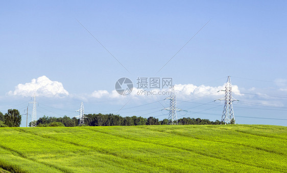 欧洲户外小麦或黑新作物未知谷厂因为刚开始种植在农业领域是高压电线杆新种植小麦或黑未知谷类农村图片