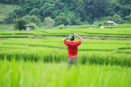 手自由常设土地图片