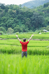 草地发光的自由男士图片