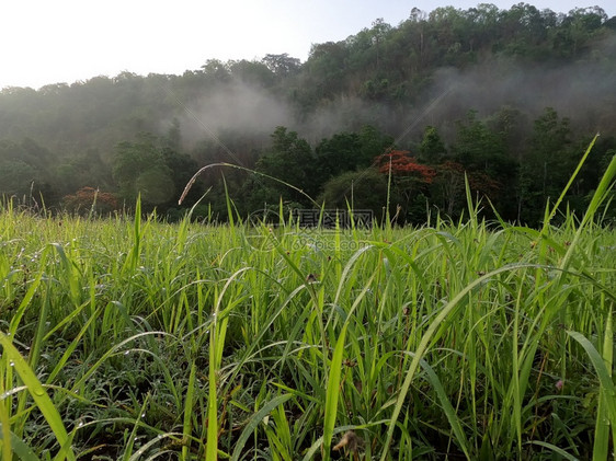 风景优美结石上午在山地和草原上图片