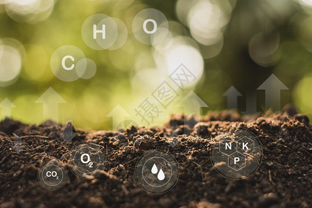 泥细节用标志技术在土壤中耕种的肥沃岩质土壤是植物的基本食植粗糙的图片