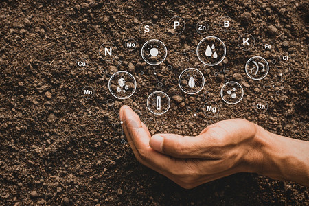 氯用标志技术在土壤中耕种的肥沃岩质土壤是植物的基本食植地面土图片