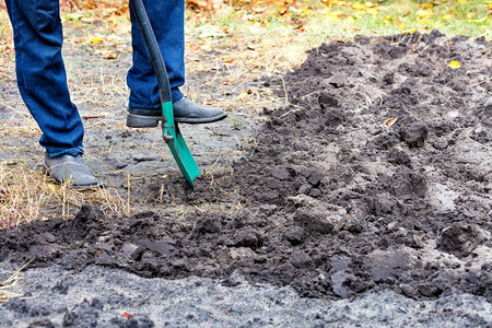 植物园丁自然农夫用己的双手铲子在冬天后挖地种菜并从田间的土壤中清除杂草农夫在冬天后挖地花园里种菜图片