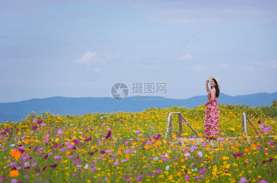 南邦身着自然花的美丽女子她穿着白色礼服和红帽子在泰国兰芒省MaeMohCoalMine的TungBuaTong墨西哥向日葵田上穿图片