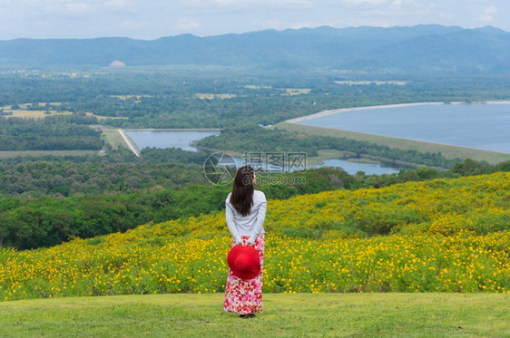 白色的人们身着自然花的美丽女子她穿着白色礼服和红帽子在泰国兰芒省MaeMohCoalMine的TungBuaTong墨西哥向日葵图片