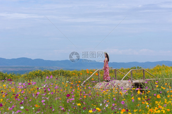 童身着自然花的美丽女子她穿着白色礼服和红帽子在泰国兰芒省MaeMohCoalMine的TungBuaTong墨西哥向日葵田上穿白图片