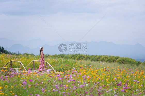 黄色的自由身着然花的美丽女子她穿着白色礼服和红帽子在泰国兰芒省MaeMohCoalMine的TungBuaTong墨西哥向日葵田图片