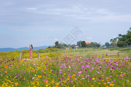 幸福煤炭身着自然花的美丽女子她穿着白色礼服和红帽子在泰国兰芒省MaeMohCoalMine的TungBuaTong墨西哥向日葵田图片