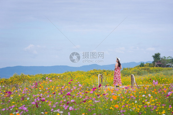 女淑身着自然花的美丽女子她穿着白色礼服和红帽子在泰国兰芒省MaeMohCoalMine的TungBuaTong墨西哥向日葵田上穿图片