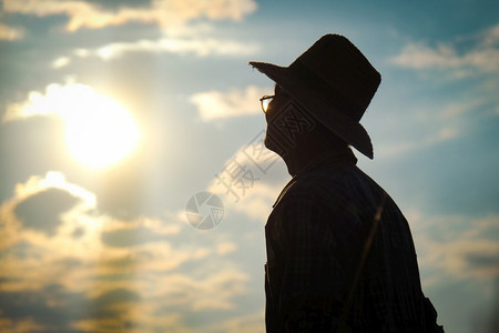 白饭泰国日落时站在稻田的资深农民休修会一位戴帽子的老人看着金色天空背景的距离土地图片