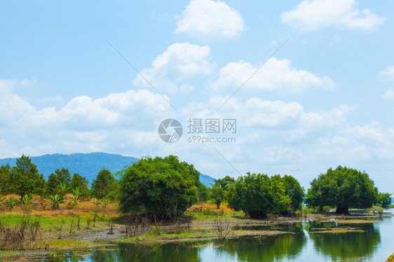 景观池塘沿河明亮的天空着三棵树在乡村山区后面土地图片