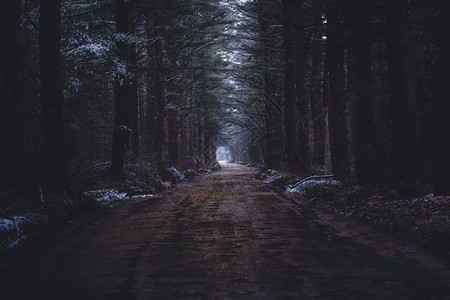 继续小路墙纸在一片深雪林中条狭窄的泥土路在一片黑暗森林中条狭窄的泥土道路图片