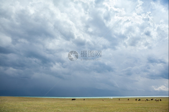 户外草地歌曲一群马在湖附近的暴风云下漫步图片