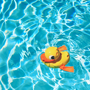 水上黄色橡皮鸭玩具图片
