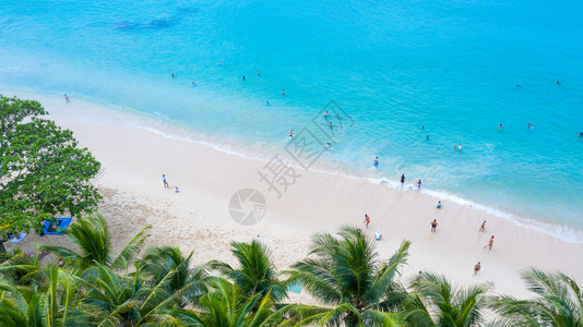 在泰国南部普吉的苏林海滩上素是普吉非常著名的旅游胜地Phuke美丽的海滩景色充满节假日与期棕榈树的热带海滩受欢迎的好沿海图片