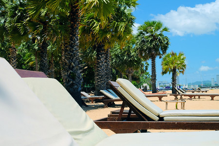 沙滩上的休息椅和棕榈树图片