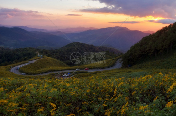 布阿墨西哥向日葵田名为TungBuaTong的金山日落景观质泰国MeeHongSon的海光景观质董爬坡道图片