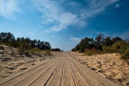 海洋穿越丛林沙丘的森漫步行走于黑海岸蓝色天空在地平线上布满云雾海边休养季节秋天没有人夏行道图片