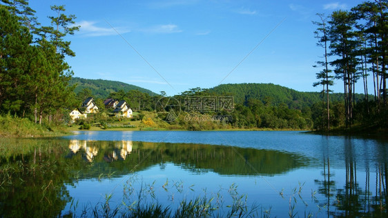 团体松树采取Dalat村美丽的景观一群别墅在湖上反省绿松林新鲜空气纯环境越南大莱特蜜月浪漫景象等生态度假胜地图片