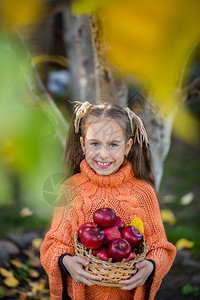 白种人帽子修补花园里的女孩有苹果在绿色草地背景上秋天的成分南瓜苹果和葡萄在花园里的女孩苹果在绿色草地背景上她住在花园里图片