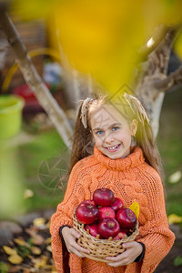 德国丰富多彩的花园里女孩有苹果在绿色草地背景上秋天的成分南瓜苹果和葡萄在花园里的女孩苹果在绿色草地背景上她住在花园里一种图片