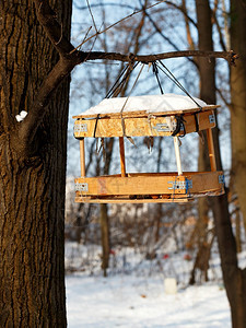 老的用剩余建筑材料制成的喂鸟器挂在冬季森林的树枝上背景模糊的灌木和阳光喂鸟器挂在冬季森林的树枝上以阳光为背景帮助乌克兰图片