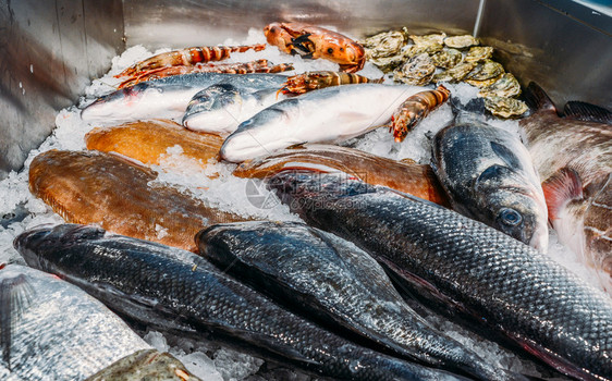 新鲜海市场摊位冷冰床上各种生鲜鱼的高角度静物海鲜市场摊位冷冰床上各种生鲜鱼的高角度静物抓住鳕鱼图片