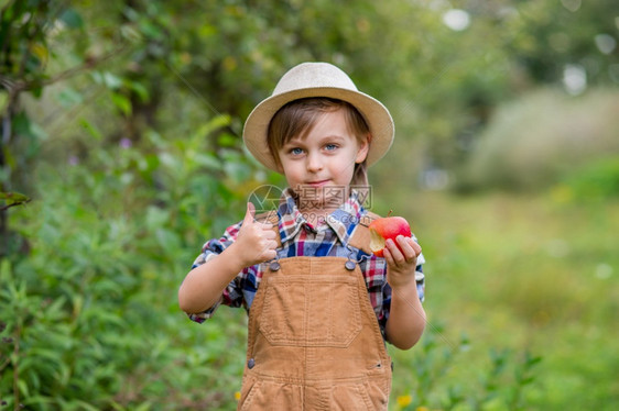 树红色的销售一顶帽子个逗人喜爱男孩画象在花园里用一个红色苹果情绪幸福食物苹果秋天收获批准手势库存照片一个可爱男孩的帽子画象在花园图片