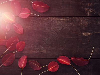 美丽红树叶棕褐木板和您刻画的场所顶端观光近祝贺爱人家朋友和同事红树叶棕木板自然春天一种图片