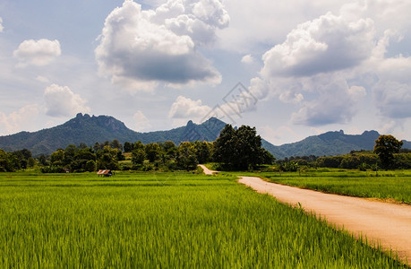 美丽的直通村庄空路径边上和后面有风景观周围是林山晨光云明蓝天空阳光灿烂晴朗而明亮没有重点在后面图片