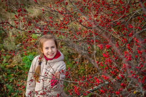 愉快一个带着红色浆果的漂亮女孩肖像秋天自然色彩秋天的红山楂树浆果一个带着红色浆果的漂亮女孩肖像秋天自然色彩森林十月图片