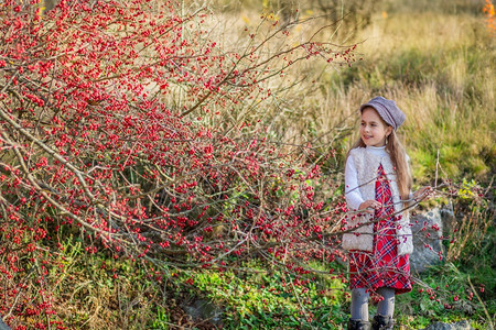 白种人们罗文一个带着红色浆果的漂亮女孩肖像秋天自然色彩秋天的红山楂树浆果一个带着红色浆果的漂亮女孩肖像图片