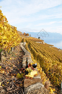 瑞士Lavaux地区露台葡萄园的酒杯和瓶子浪漫的植物束图片