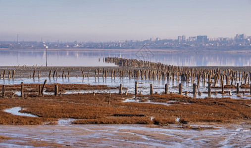 治疗河口乌克兰敖德萨附近一个盐水干燥湖Kuyalnik的安装乌克兰奥德萨冬季寒冷清晨在乌克兰敖德萨Kuyalnik湖干燥木制的图片