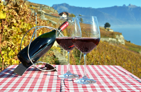 红酒对抗瑞士拉沃的葡萄园生活优质的日内瓦图片