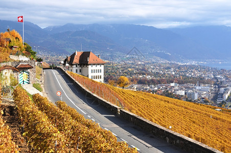 香槟酒屋店穿过瑞士拉沃地区葡萄园的公路图片